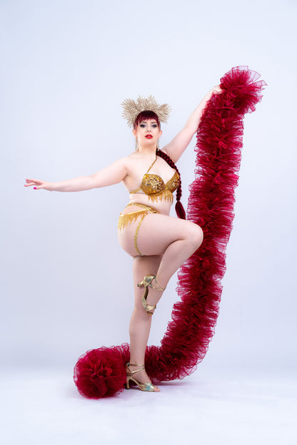 Red Wine Organza Boa