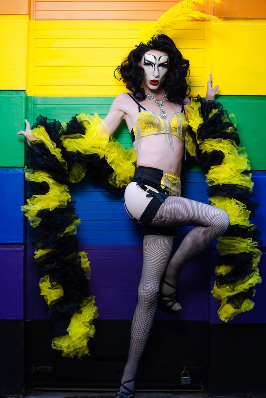 Black and Yellow Organza Boa