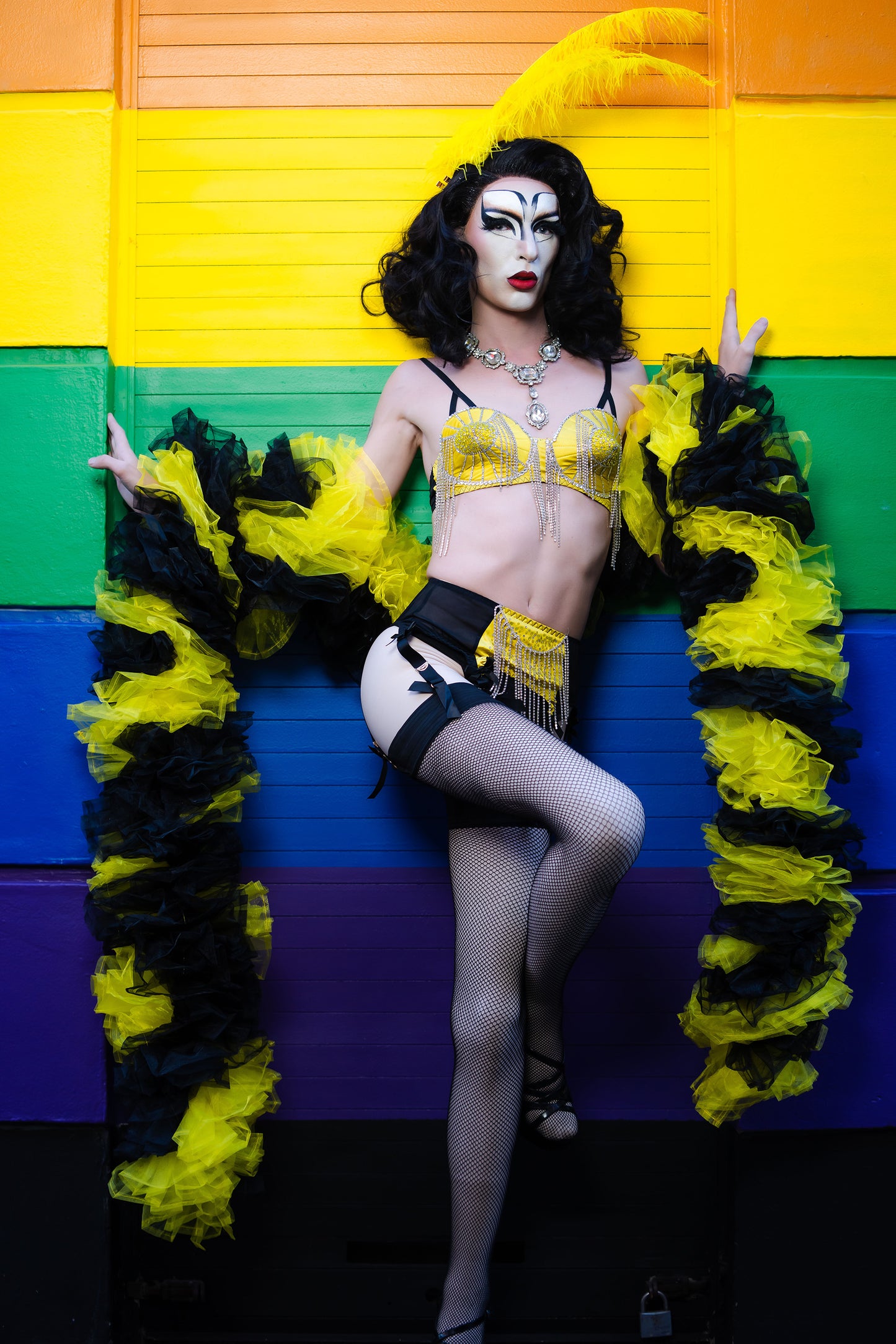 Black and Yellow Organza Boa