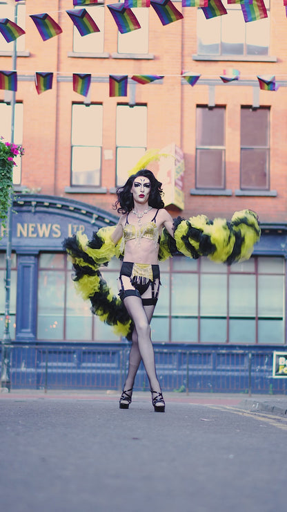 Black and Yellow Organza Boa